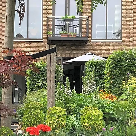 Arthouse Bed & Breakfast Dordrecht